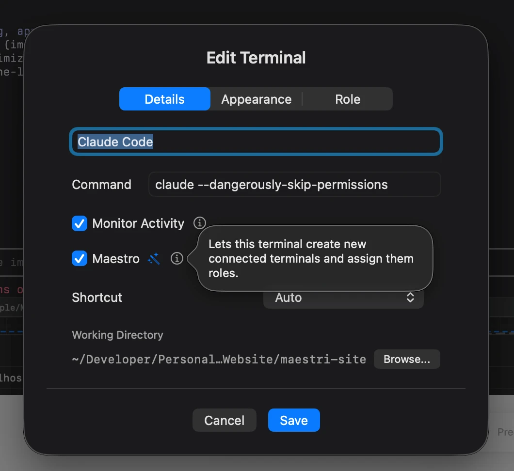 O modal de edição do terminal com a caixa do Maestro ativada